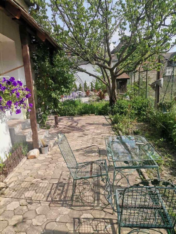 Somborski Salas - Strogi Centar Esterno foto