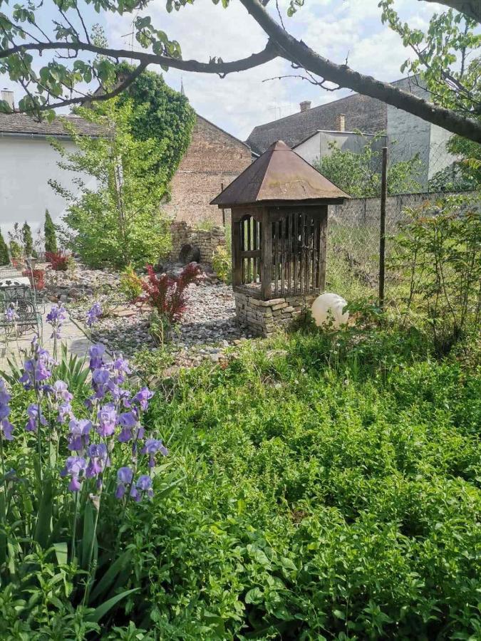 Somborski Salas - Strogi Centar Esterno foto