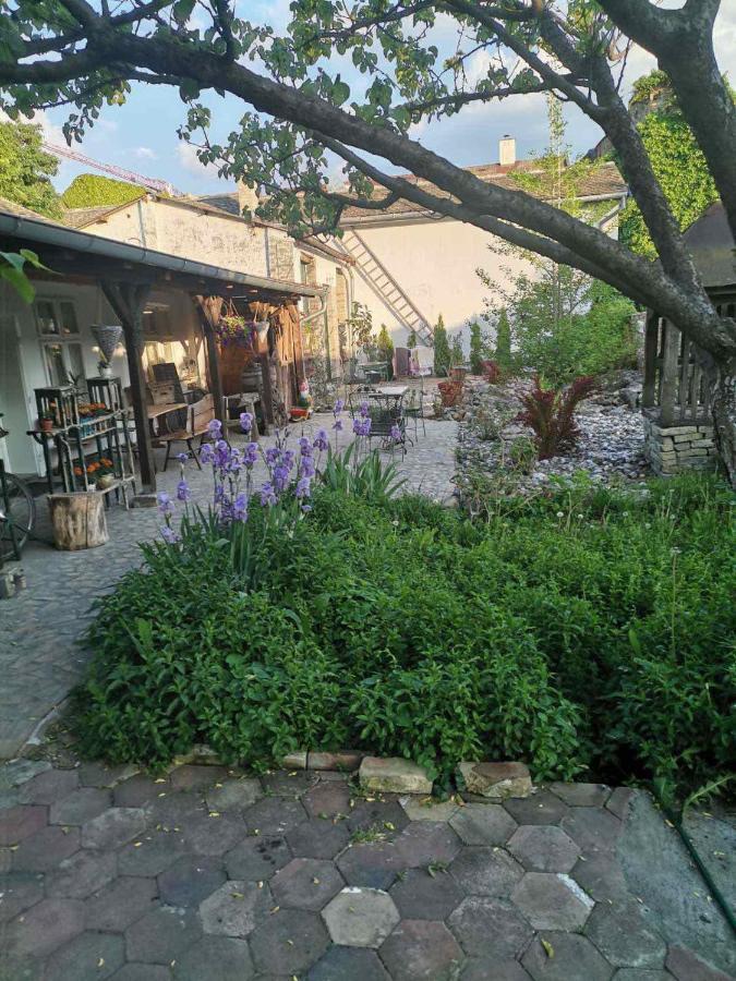 Somborski Salas - Strogi Centar Esterno foto